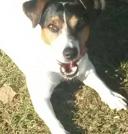 La Comacina Comacchio