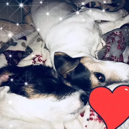 La Comacina Hotel 3*