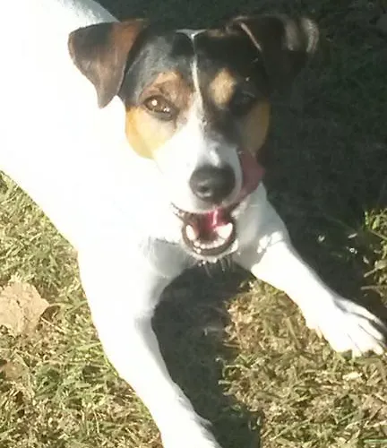 Locanda La Comacina Comacchio