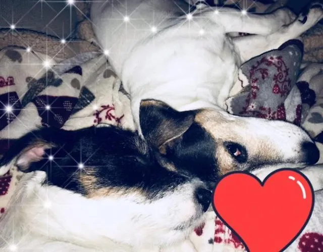 La Comacina ホテル 3*